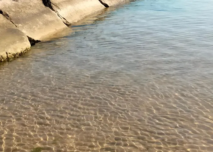 Apartament Flora House